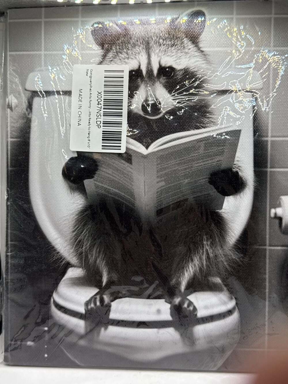 Gongyuanyihao Arts Funny Raccoon Reading on Toilet Canvas Art 8x10
